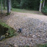 Lūznavas muižas parka dīķa dambja veiktie remontdarbi un niedru pļaušana