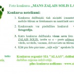 afisa - ZALAIS SOLIS